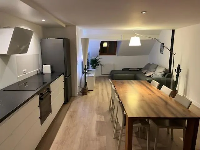 Apartment A 200M Du Lac, Au Coeur De La Vieille Ville Avec Parking Annecy